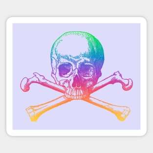 Rainbow skull and crossbones Magnet